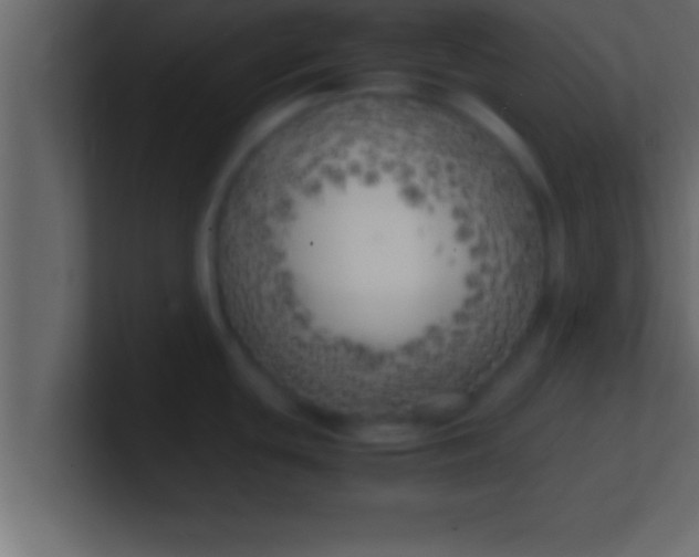 X0000100761439200807031141