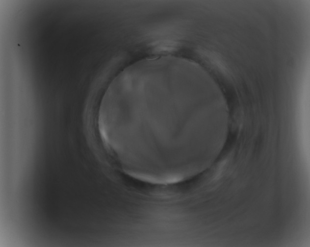 X0000100761441200807031140