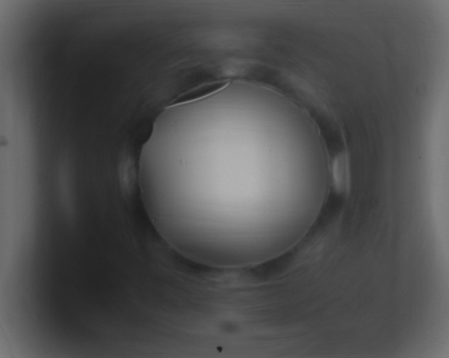 X0000100761443200807031140