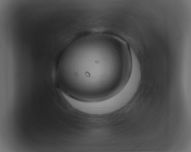 X0000100761444200807031140