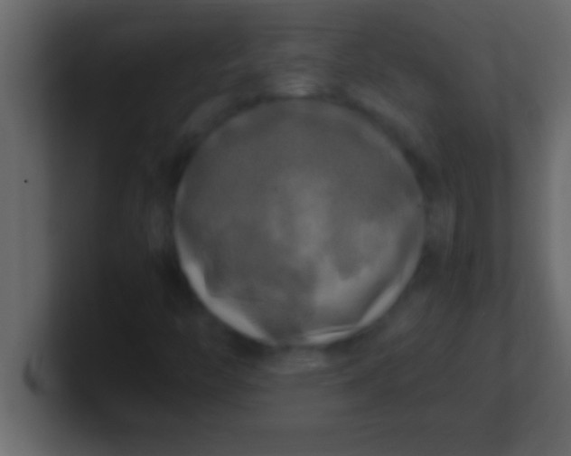 X0000100761446200807031140