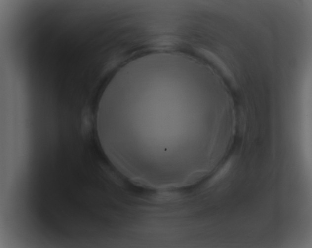 X0000100761449200807031140