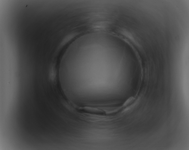 X0000100761450200807031140