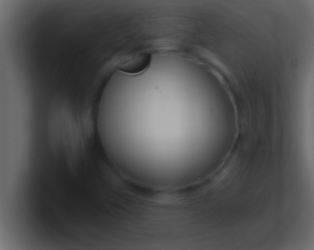 X0000100761451200807031140