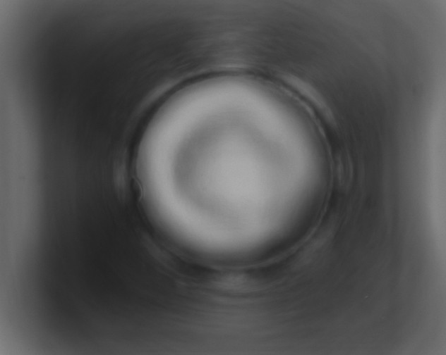 X0000100761452200807031140