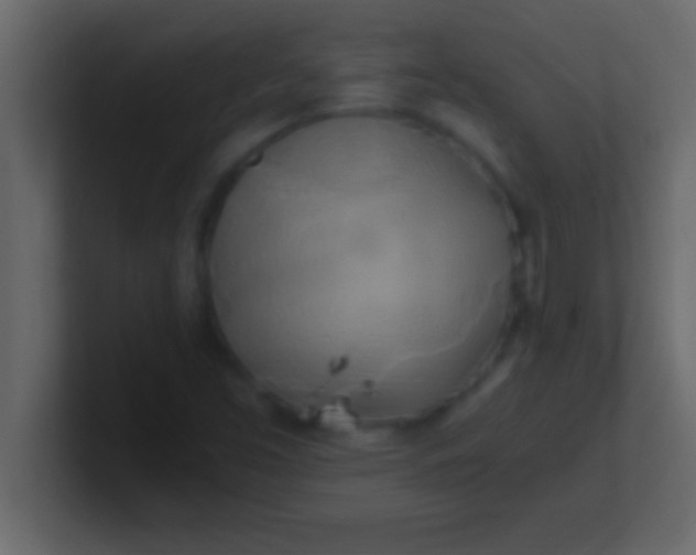 X0000100761453200807031140