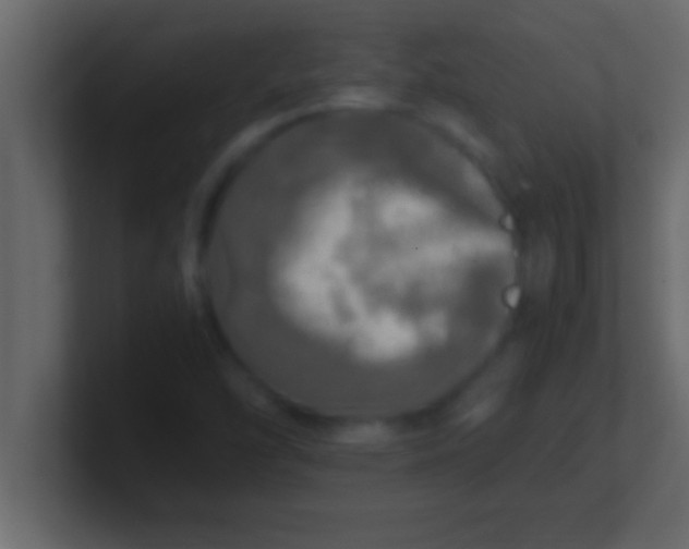 X0000100761454200807031140