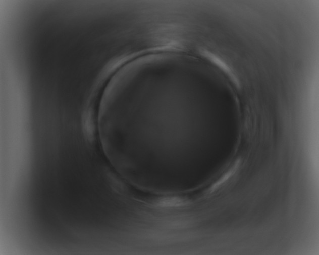 X0000100761455200807031140