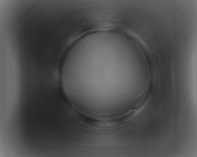 X0000100761457200807031140