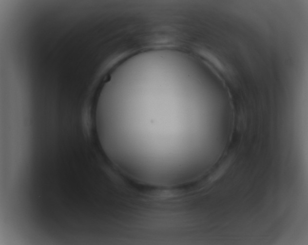 X0000100761458200807031140