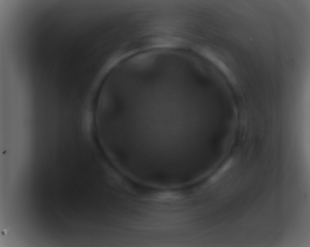 X0000100761459200807031140