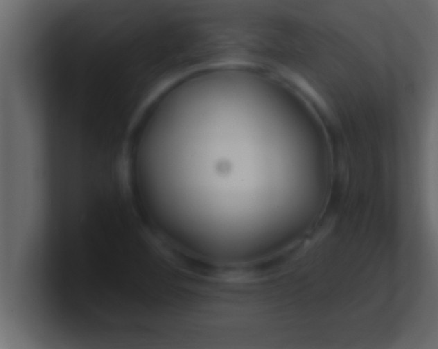 X0000100761460200807031140