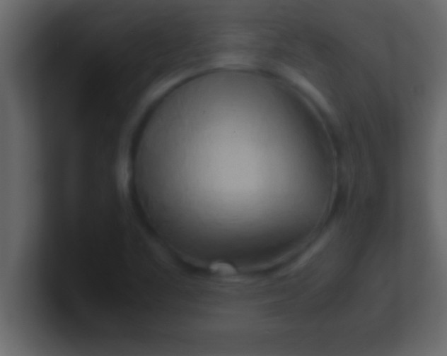 X0000100761461200807031140