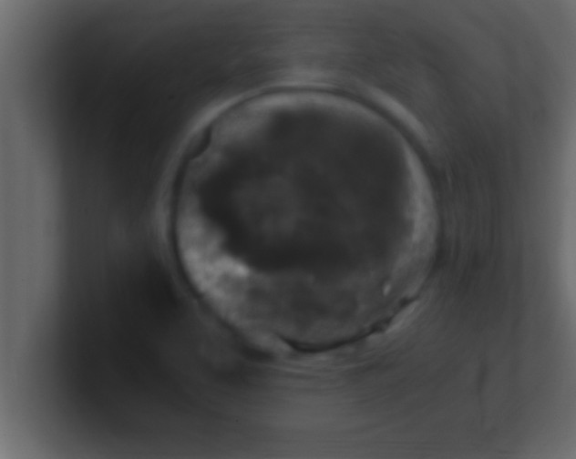 X0000100761463200807031140