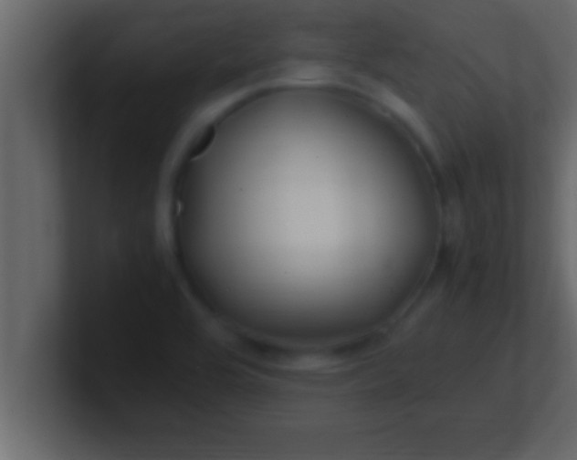 X0000100761464200807031140