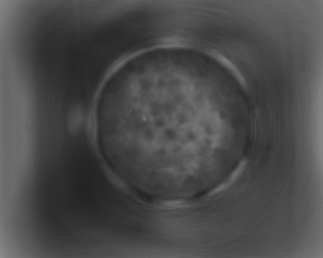 X0000100761467200807031140