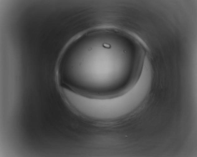 X0000100761468200807031140