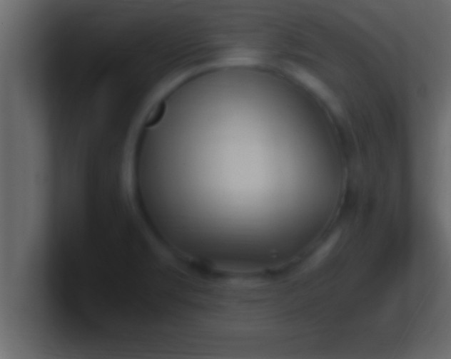 X0000100761469200807031140