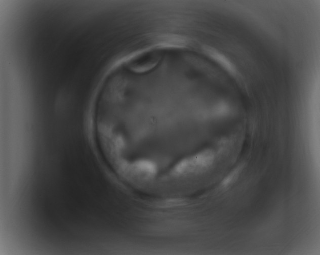 X0000100761471200807031140