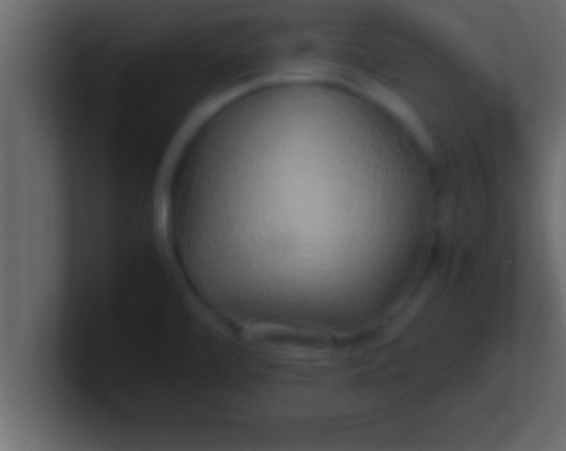 X0000100761472200807031140