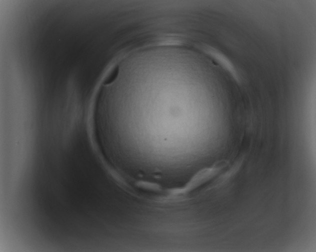 X0000100761475200807031139