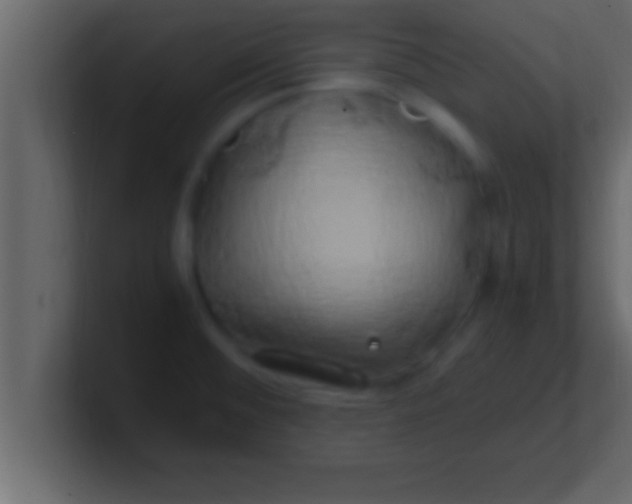 X0000100761476200807031139