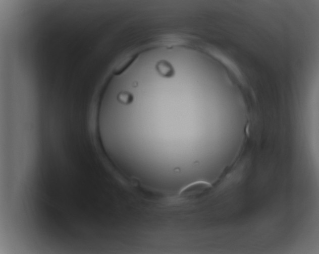 X0000100761477200807031139