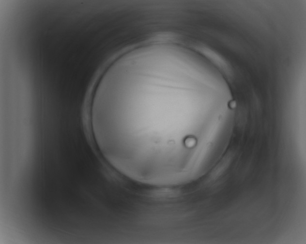 X0000100761478200807031139