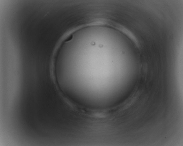 X0000100761480200807031139