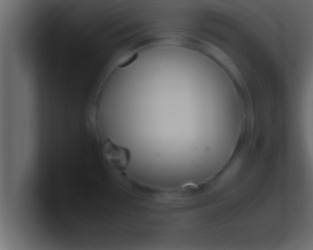 X0000100761481200807031139