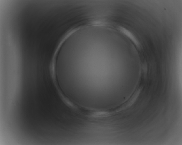 X0000100761482200807031139