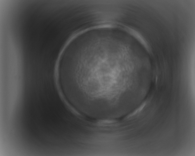 X0000100761483200807031139