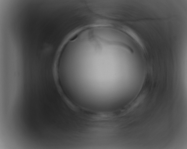 X0000100761485200807031139