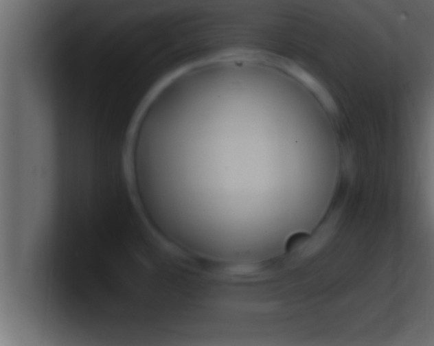 X0000100761486200807031139