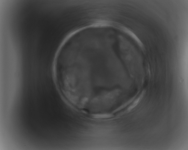 X0000100761487200807031139