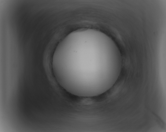 X0000100761489200807031139