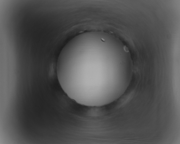 X0000100761490200807031139