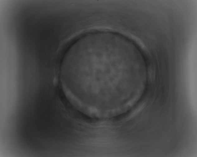 X0000100761494200807031139