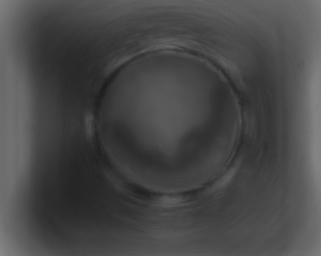 X0000100761497200807031139