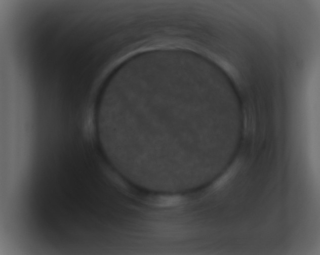 X0000100761498200807031139