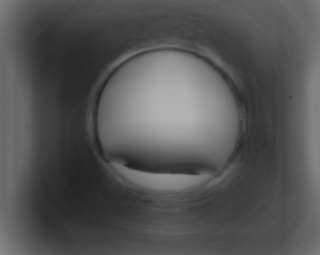 X0000100761500200807031139