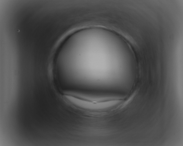 X0000100761502200807031139