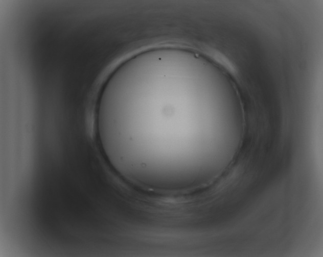 X0000100761504200807031139