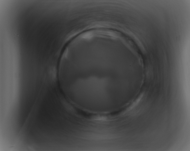 X0000100761505200807031139