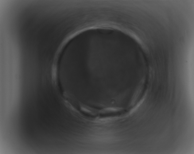 X0000100761506200807031139