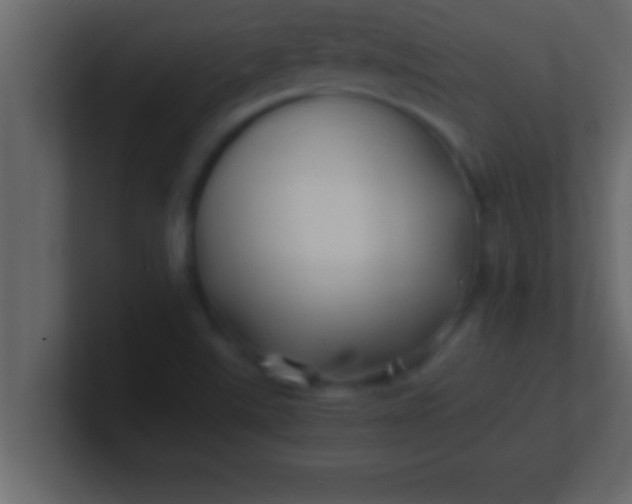 X0000100761507200807031139