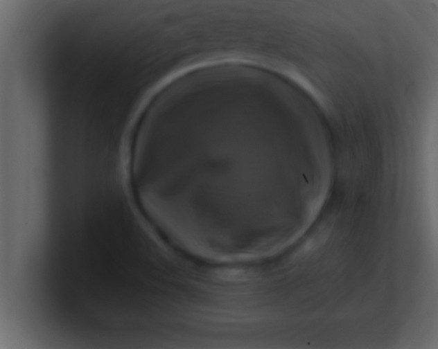 X0000100761508200807031139