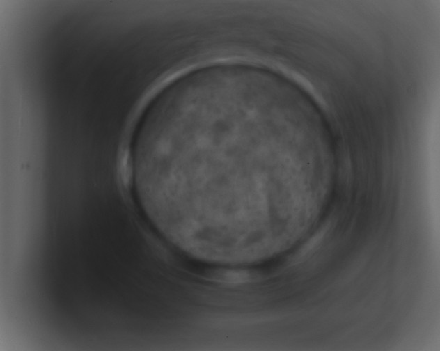 X0000100761509200807031139