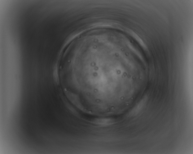 X0000100761513200807031139