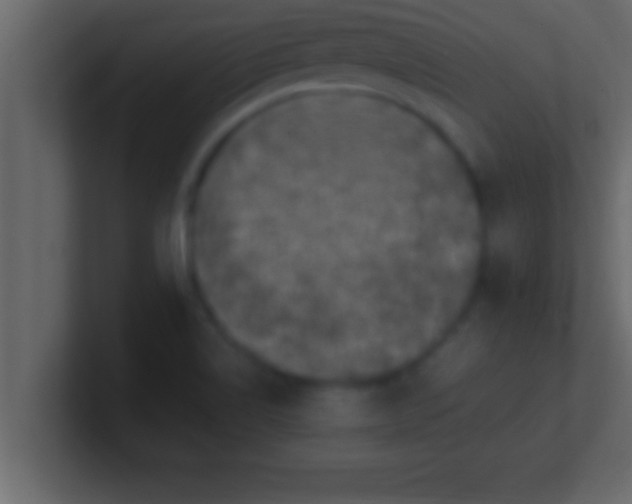 X0000100761514200807031139